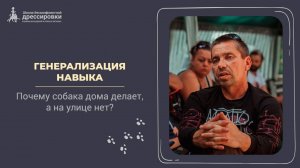 Генерализация навыка. Почему собака дома делает, а на улице нет?