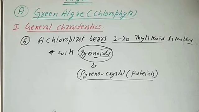 GREEN ALGAE (chlorophyta) class11th biology смотреть онлайн