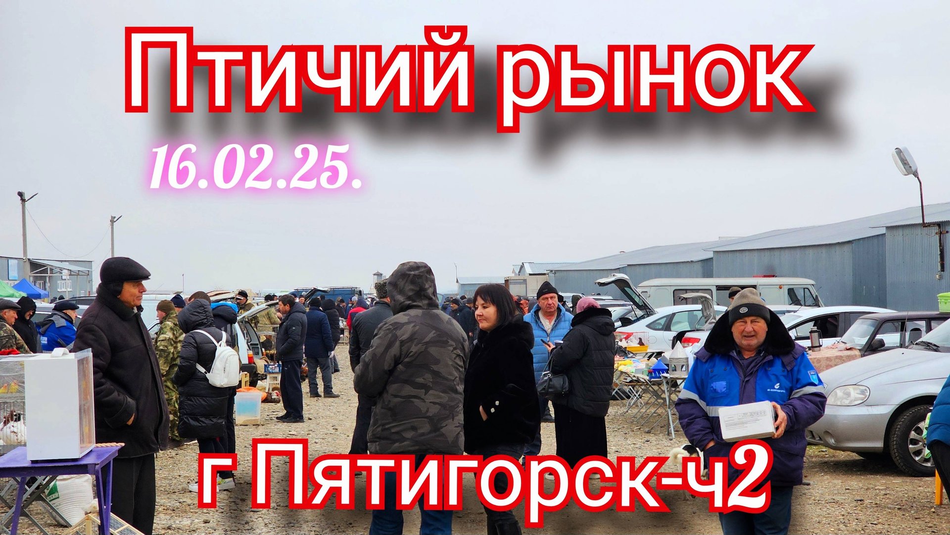 Голуби цены Птичий рынок г Пятигорск - ч2 смотреть онлайн