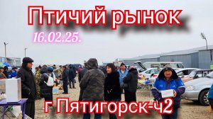 Голуби цены Птичий рынок г Пятигорск - ч2