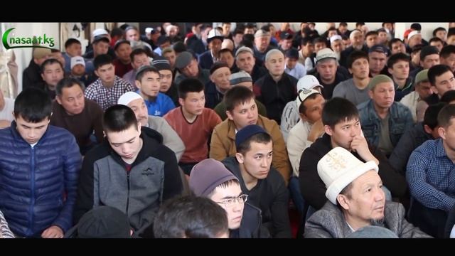 "ДААРАТКАНАГА БАРГАНДЫН, ДААРАТ УШАТКАНДЫН ЖОЛУН БИЛЕСИНБИ?" Абдишүкүр ажы Нарматов смотреть онлайн