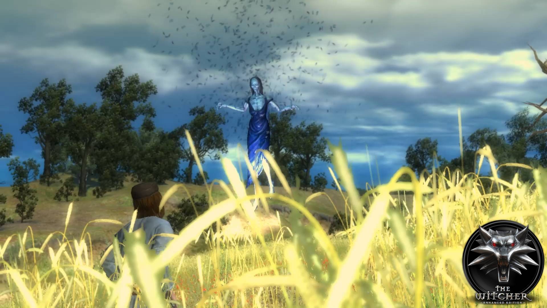 #26 Проклятье Селины и Алины (молчаливое прохождение) - The Witcher смотреть онлайн