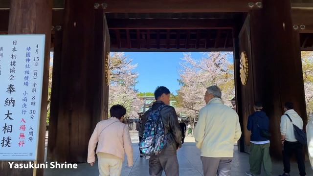 4K JAPAN TRAVEL｜Cherry Blossom Spots 2024｜Tokyo Walk Tour｜SAKURA 桜 смотреть онлайн