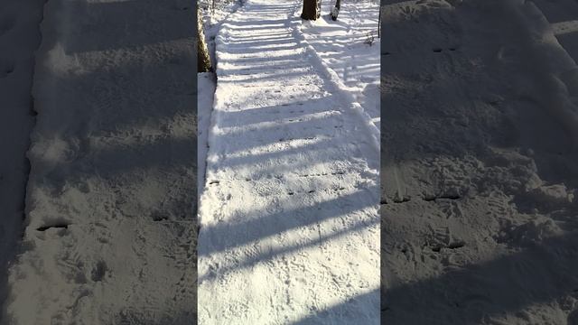 Сестрорецкая экотропа.