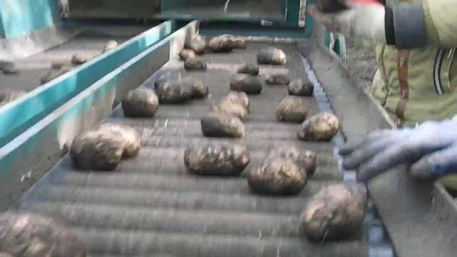 Работа сортировки КАРТБЕРГ М620 смотреть онлайн