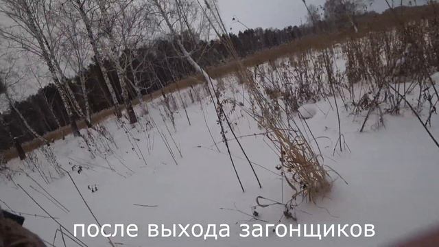 Загонная охота- Наконец то добыл... смотреть онлайн