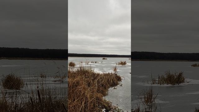 VID_20241207_111428 смотреть онлайн
