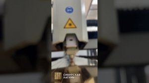 Сибирская латунь