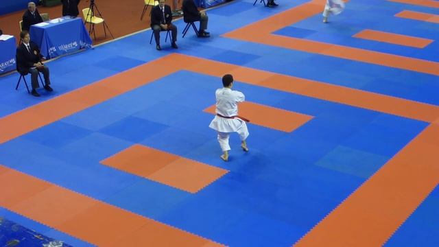 K1 Paris open 2015 SVK Fabian CH. Kushanku смотреть онлайн