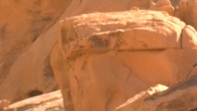 Melissa Evans Nevada Bighorn Ewe 2018 смотреть онлайн