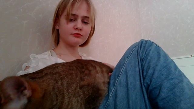 Moment🤣🤣🐱 смотреть онлайн