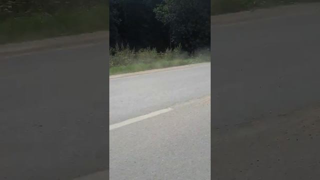 Дорога Верея Медынь. 2018 год смотреть онлайн