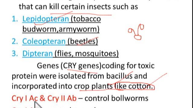 NEET Previous Year Questions//Biotechnology- Bt crops// Practise series IV (தமிழ் மொழியில்) смотреть онлайн