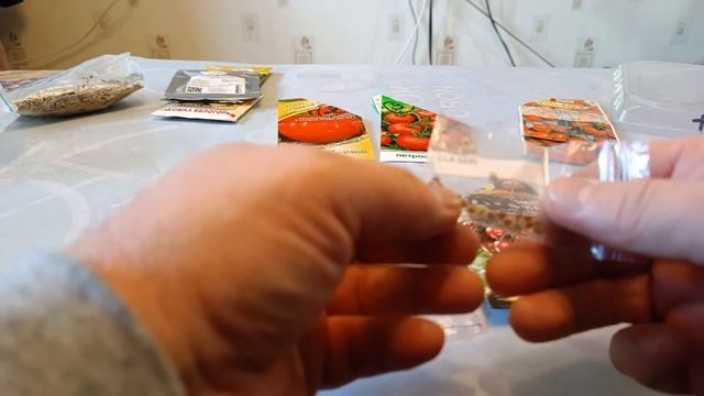 Обзор моих томатов 2024 смотреть онлайн