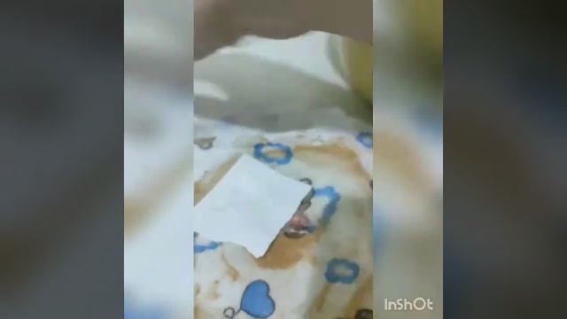 Экология пластин для стирки смотреть онлайн