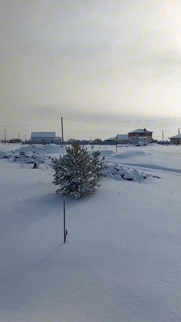 воскресные новости 16.02.2025