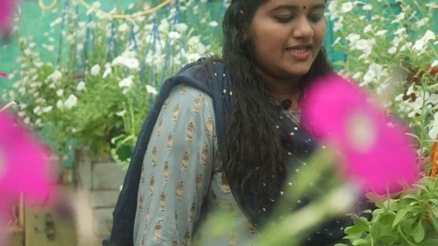 Best Flowering plants In My Garden ! Petunia Garden Tour ! Gardening in Malayalam ! വെള്ള പെറ്റൂണിയ смотреть онлайн
