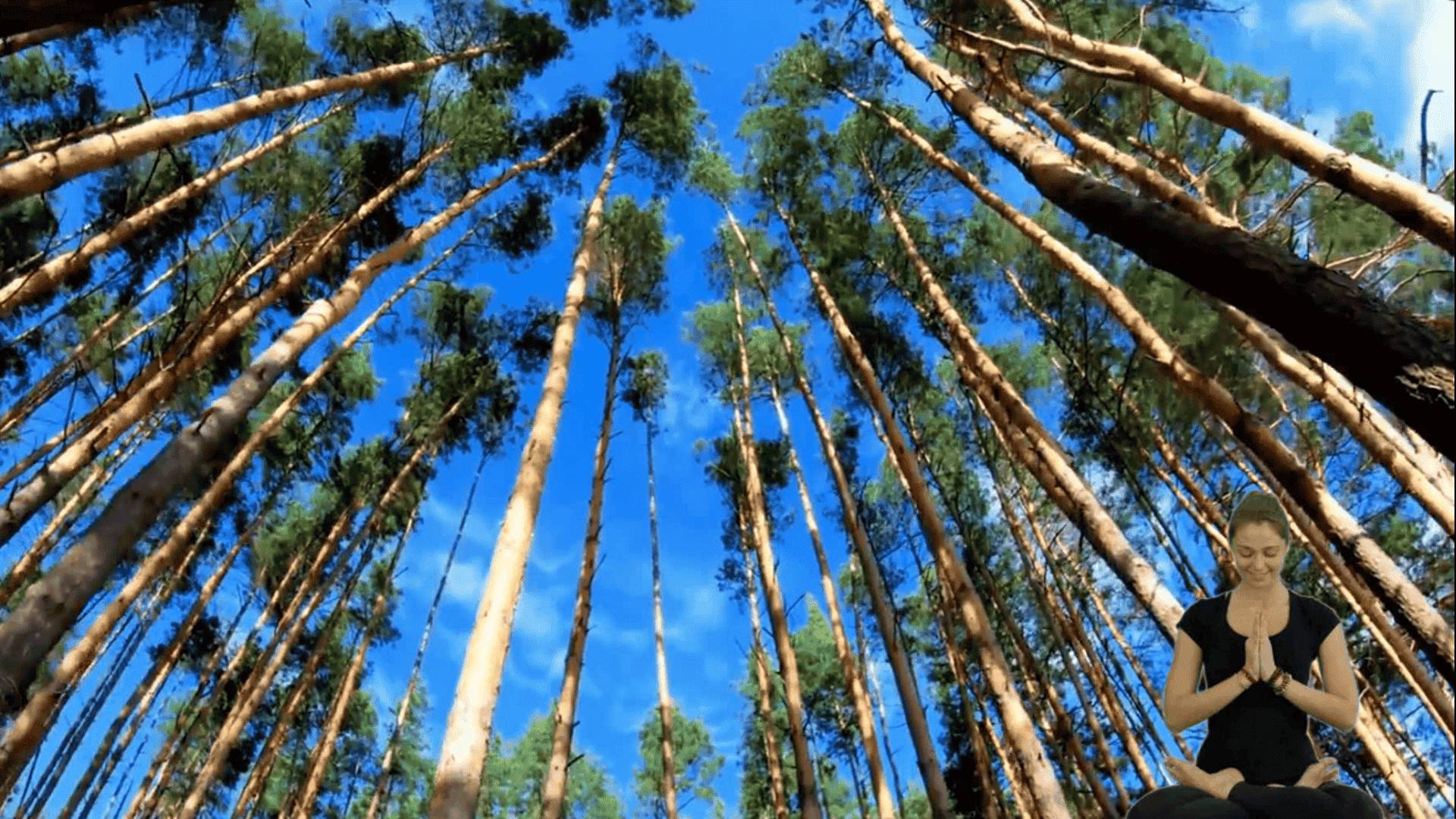 Нежная лечебная музыка здоровья и для успокоения нервной системы, глубокого релакса смотреть онлайн