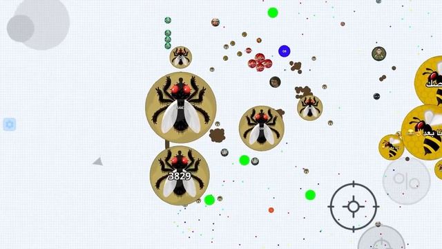 PRO MACRO FLY (Agar.io Mobile) смотреть онлайн