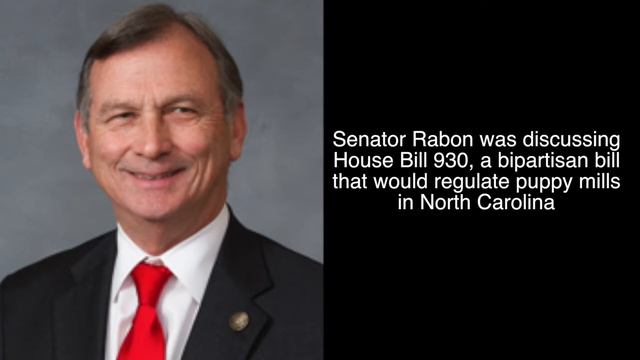 Senator Rabon: The Puppy Mill Bill Won't Pass Without Me смотреть онлайн