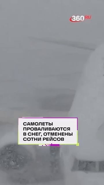 Пони и самолеты тонут в снегу в Японии. Отменили сотни рейсов, остров отрезан от мира смотреть онлайн