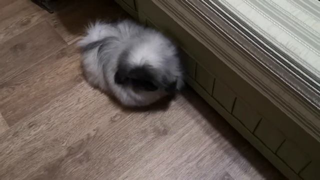 Лена 2019 04 04 23 47 22 смотреть онлайн