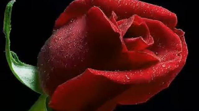 Инструментальная музыка красивая смотреть онлайн