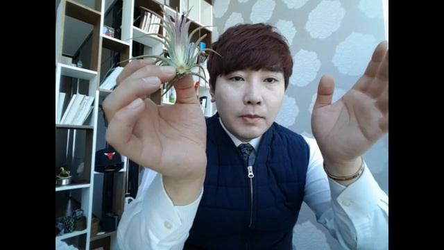 입문자를 위한 틸란드시아 2탄 -과습이란 смотреть онлайн