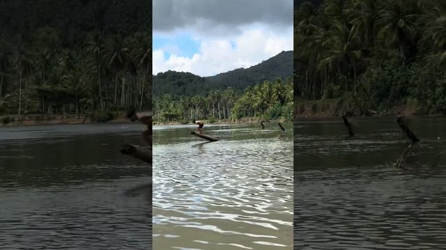PHILIPPINE LOOP NA UWIAN PART 2 ( BICOL ) смотреть онлайн