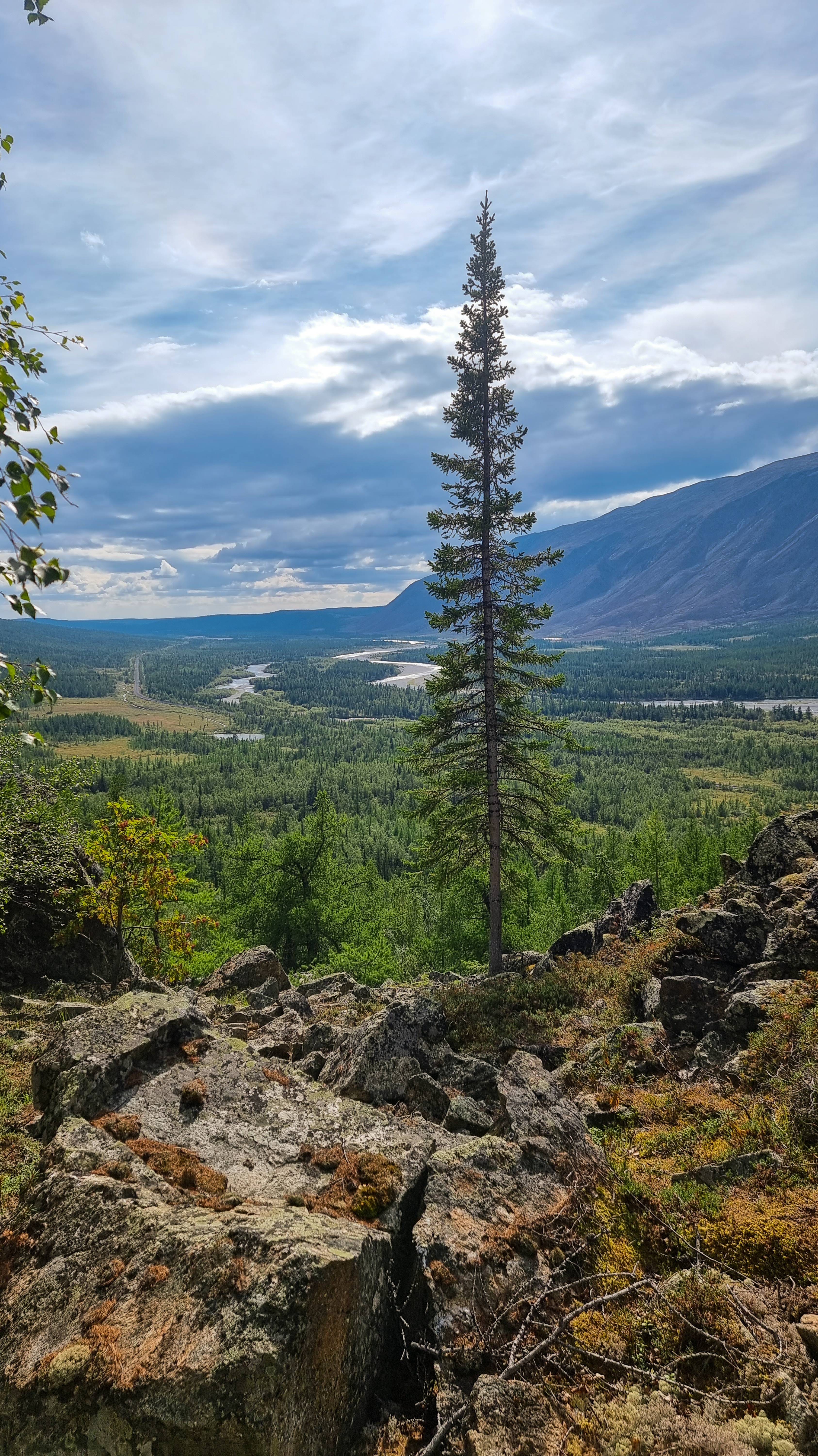 Природа Ямала