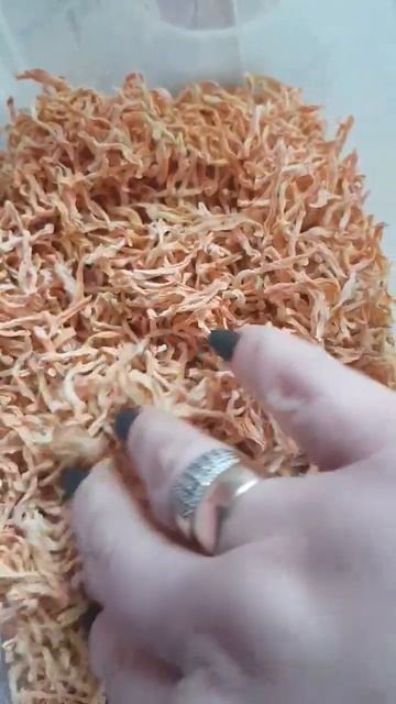СУШЕНАЯ МОРКОВЬ🥕 смотреть онлайн