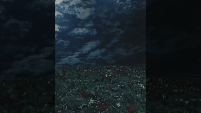 Аннабель Ли. Эдгар Алан По. Отрывок. Стихи. смотреть онлайн