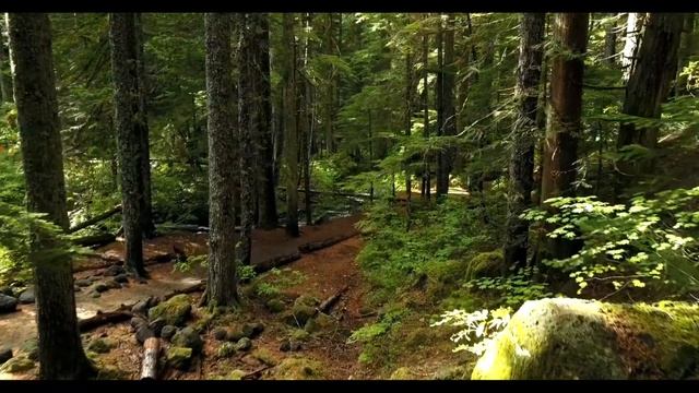 DJ Грузии Красивая музыка Light NV #Beautifulmusic #relax