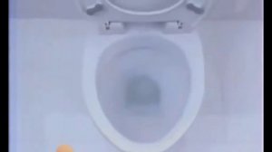 Реклама Доместос 2005-2010