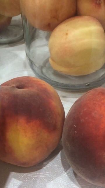 Зеленые короли