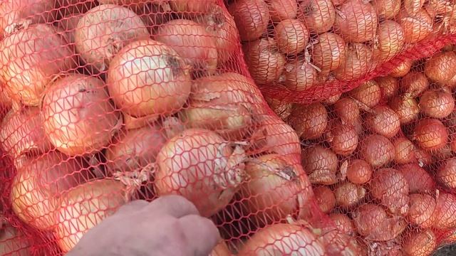 Ціни на ринку Великі Копані. Ціна на редиску дивує. смотреть онлайн