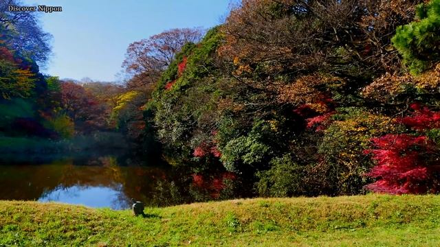 4K 皇居 乾通りの紅葉 Autumn leaves of Tokyo Imperial Palace 東京 観光 旅行 japan Trave Trip 紅葉の名所 秋の東京 江戸城 смотреть онлайн