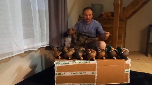 Обзор утинных чучал Softplast Alfa смотреть онлайн