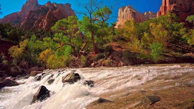 SAMSUNG 4K HDR DEMO - Jump into Nature смотреть онлайн