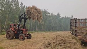 Кун на 1000 кг Робокоп