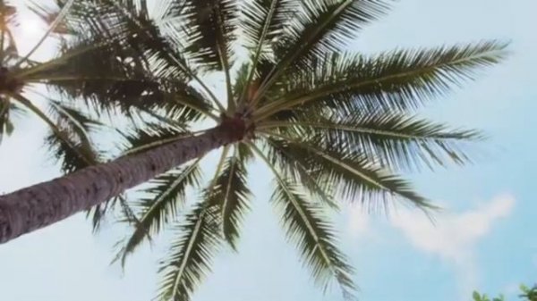 ▶️🎶Music for Model sexy Gerls ⭕Top Models