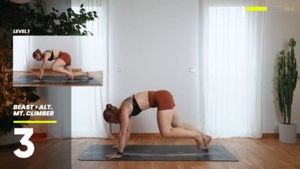 25 Min. Full Body Mobility - Animal Flow _ Beginner-Friendly