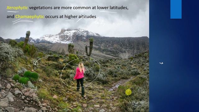5. IFoS-2021 | P1-SA | Silviculture | Physiographic factors смотреть онлайн