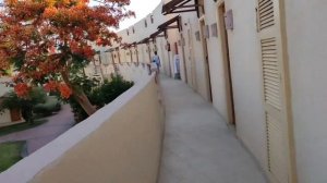 Прилетели в ЕГИПЕТ, Шарм-эль-шейх!🔆CONCORDE EL SALAM SPORTS AREA 5*🏇. Май 2024г.