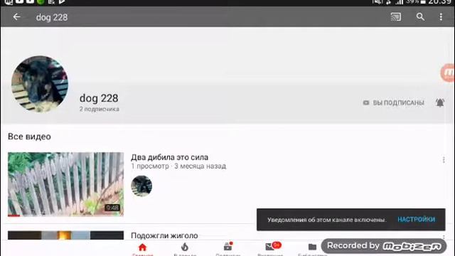 Инфо смотреть онлайн