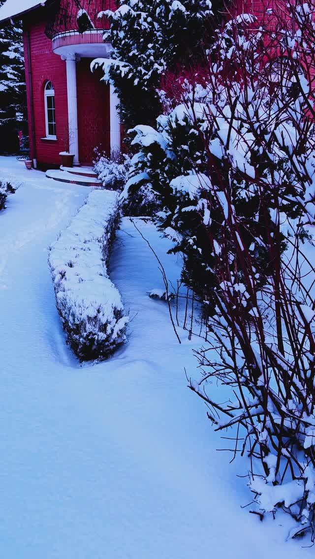 #shorts рядом со мной живёт ворон, назвала его Карлушей. смотреть онлайн