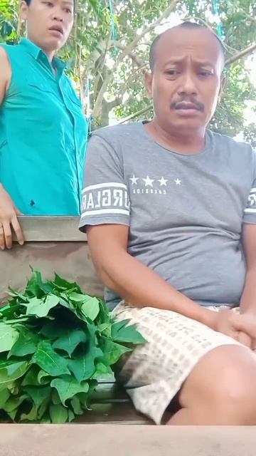 SEMINGGU DI KASIH MAKAN DAUN PEPAYA || SUAMI MARAH SAMA ISTRI || komedi# lucu# jepara 🙏🙏 смотреть онлайн