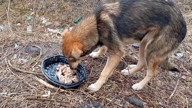 На второе - вкусняшки!!!! смотреть онлайн