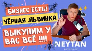 Готовы выкупать всю продукцию у производств, но всё не так просто. #чёрнаяльвинка #bsf #инвестиции