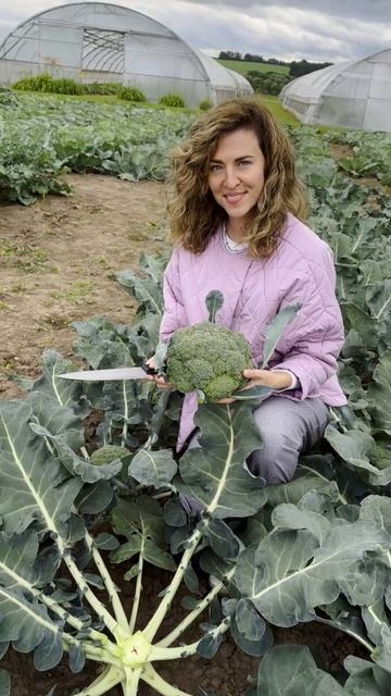 Не сажайте на огороде брокколи! Пока не попробуете нашу Венеру! смотреть онлайн